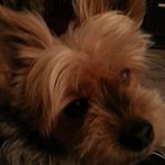 Donald Matney - @donaldmatney - Instagram