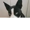 donaldmattern207 - @donaldmattern207 - TikTok