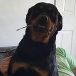 Donald Maughan - @donaldmaughan - Instagram