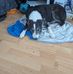 Donald Maughan - Facebook