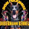 don_maximus - @donmaximus18 - TikTok