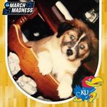 Don Mays - @donmays22 - Instagram