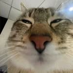 Mazer - @don_mazer - Instagram