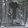 DonMcAfee - @donmcafee - TikTok