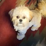 Don Mccabe - @mccabe1754 - Instagram