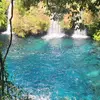 Gonzalo_McCaffrey - @don_mccaffrey - TikTok