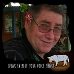 Don McCall - @don__mccall - Instagram