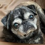 Donna M McCaskill - @mccaskilldonnam - Instagram