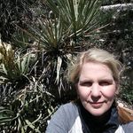 Donna McCaskill - @donna.mccaskill.5 - Instagram