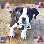 Donald Mccaughey - @donaldmccaugheyjr83 - Instagram