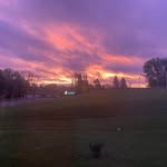 Donna M. McCaughey - @donnamccaughey2022 - Instagram