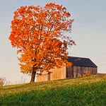 Donald McCloskey - @mccloskeydonald - Instagram