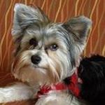 Donna Belfield McClung - @mcclung_donna - Instagram