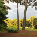 Donna G. McClung - @donnamcclung159 - Instagram