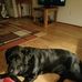 Don McColl - Facebook