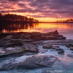 Don McCollum - @donjohnmccollum - Instagram