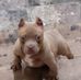 Don Mccray - Facebook