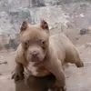 Don Mccray - @don.mccray2 - TikTok
