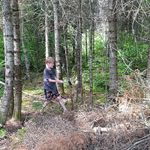 Don McCready - @don.mccready - Instagram