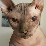 Donald McCrea - @donmccrea1946 - Instagram