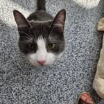 Donna McCroskey - @donnamccroskey - Instagram