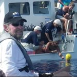 Don woodkayaker McCumber - @don_mccumber - Instagram