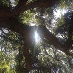 Don McDowell - @genuine92562 - Instagram