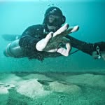 Don McFadden - @donny_was_here - Instagram