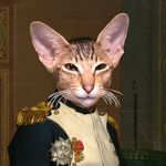 Don McFall - @dtmcfall - Instagram