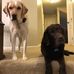 Donald McGill - Facebook