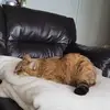 donaldmcgovern - @donaldmcgovern - TikTok