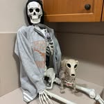 Dead Donnell from McLane - @deaddonnellfrommclane - Instagram