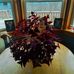 Donna McMath Parker - Facebook