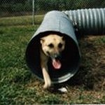 Don McMullen - @sphs1979 - Instagram