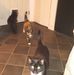 Donald Mcneely - Facebook