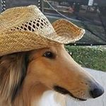 Don Meier - @don.meier.39 - Instagram