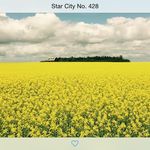 Don Meier - @meier_don - Instagram