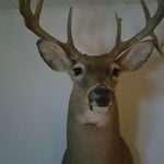 Don Meier - @don.meier.796 - Instagram