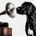 Don Meister - Facebook
