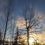 Donovan Melanson - @donovanmelanson - Instagram