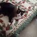 Don Mellott - Facebook