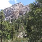 Don Mellott - @donmellott53 - Instagram