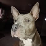 Don Merchant - @tiggerplay62 - Instagram