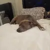 donaldmerchantdon - @donald.merchant.d - TikTok
