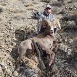 DON MEREDITH - @dkm348 - Instagram