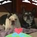 Don Messner - Facebook