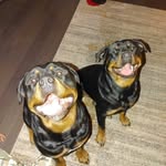 kamdon middlebrooks - @kamdonmiddlebrooks - Instagram