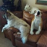 Don Middleton - @middleton7609y_www_ewua - Instagram