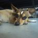 Don Milam - Facebook
