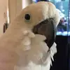 Donovan Milam - @donovan.milam - TikTok